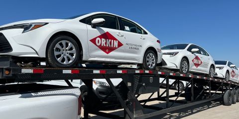 Transportbusiness